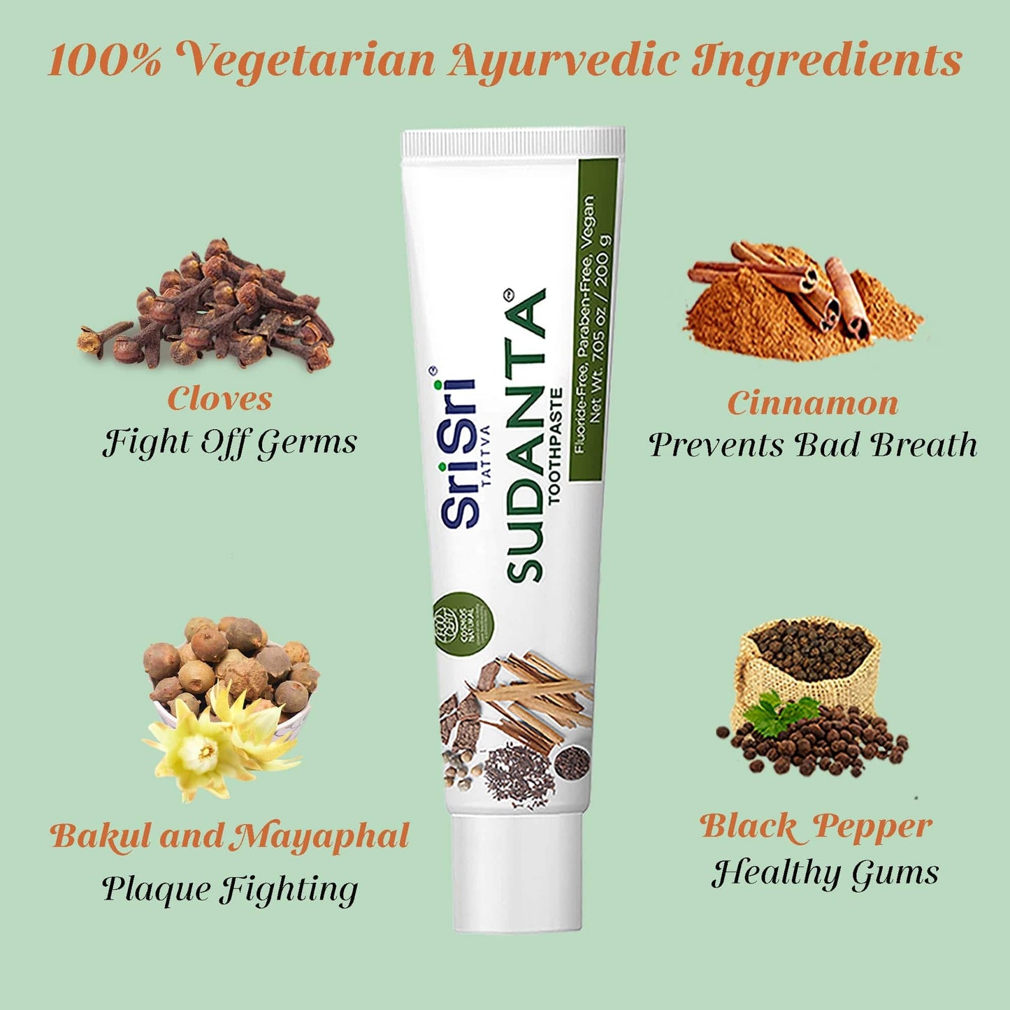 Sri Sri Tattva Cosmetics Sudanta Toothpaste