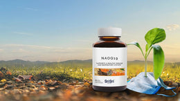 NAOQ19 - Sri Sri Tattva’s Shield for your Immune System