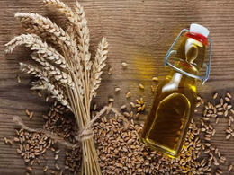 Glow Up with Wheat Germ Oil: Benefits Unleashed!