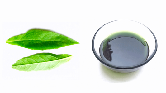 Bhringraj Oil: A Detailed Exploration of Its Properties, Uses, and Considerations