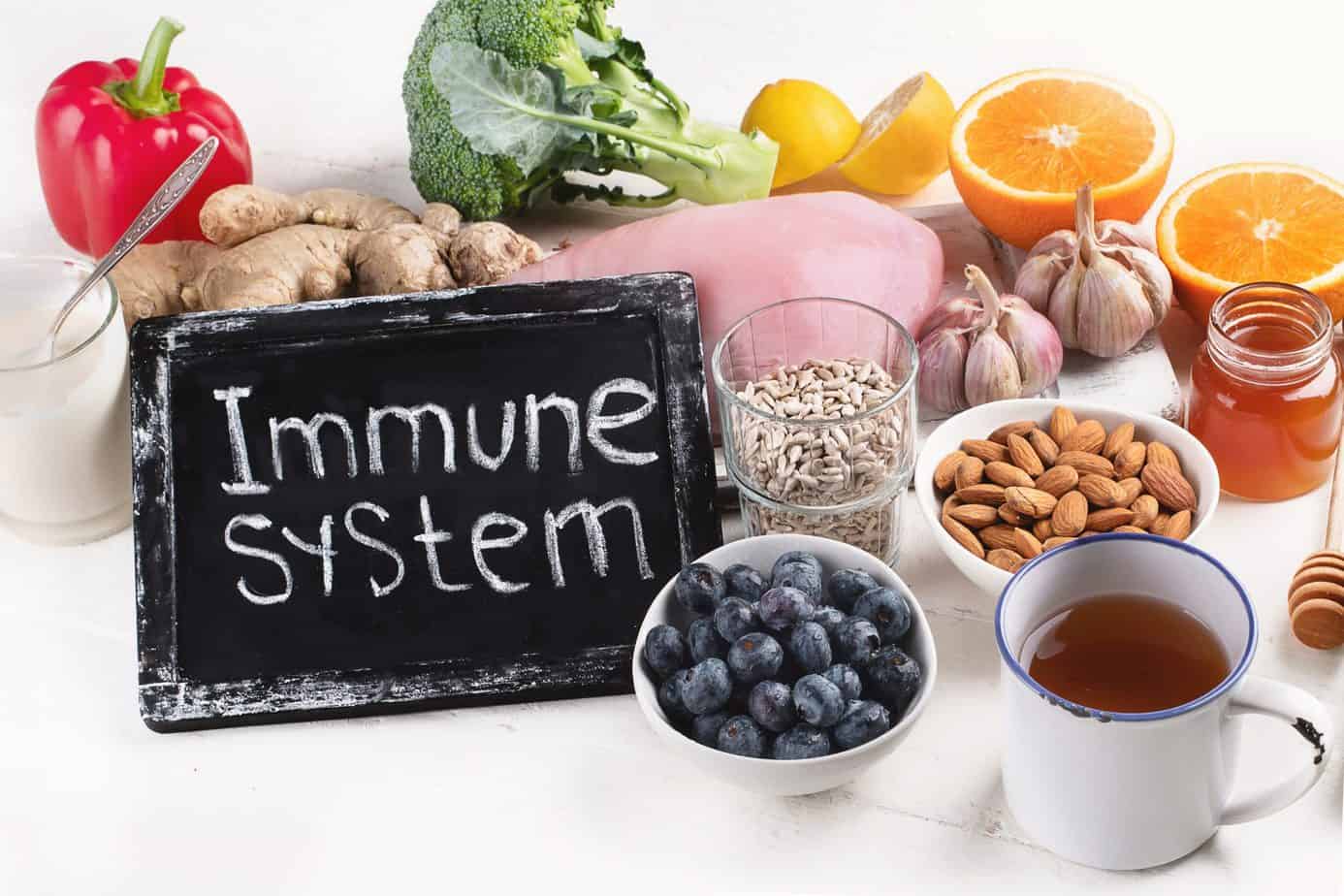 Benefits of Natural Ayurvedic Herbs for Your Immunity System Sri Sri