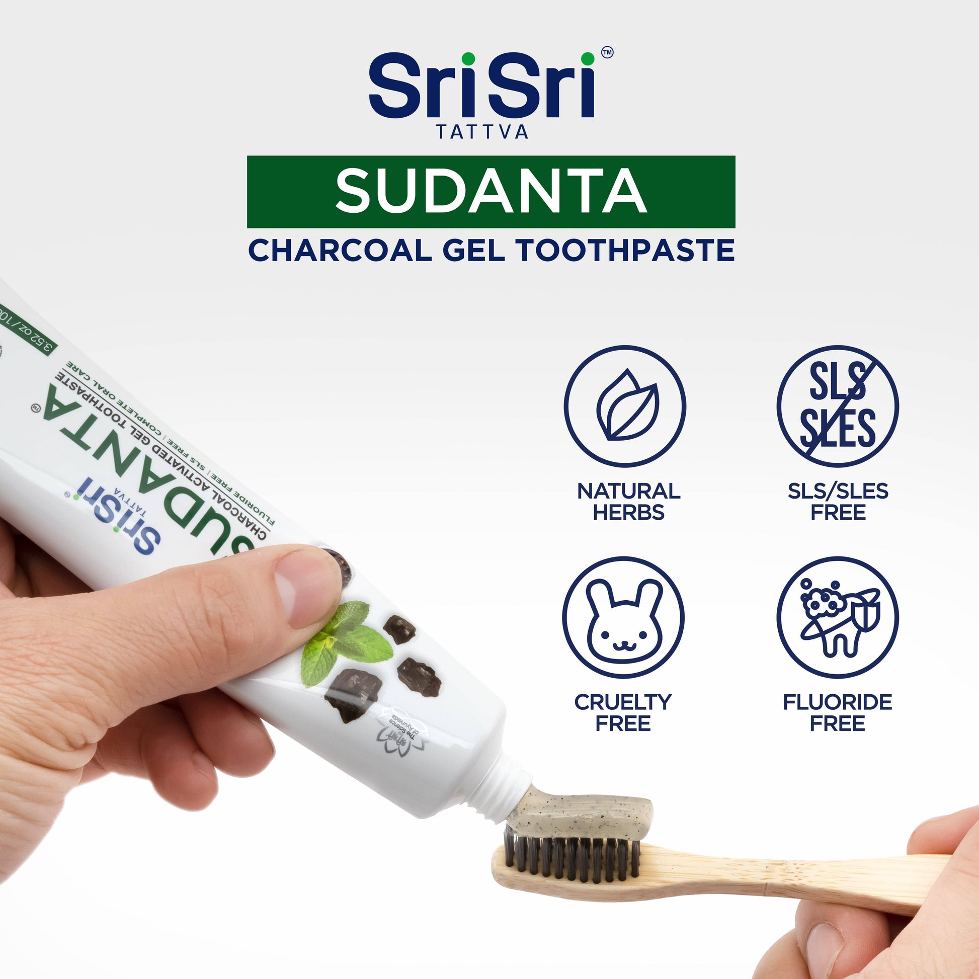 Sri Sri Tattva Cosmetics Sudanta Toothpaste Charcoal Gel