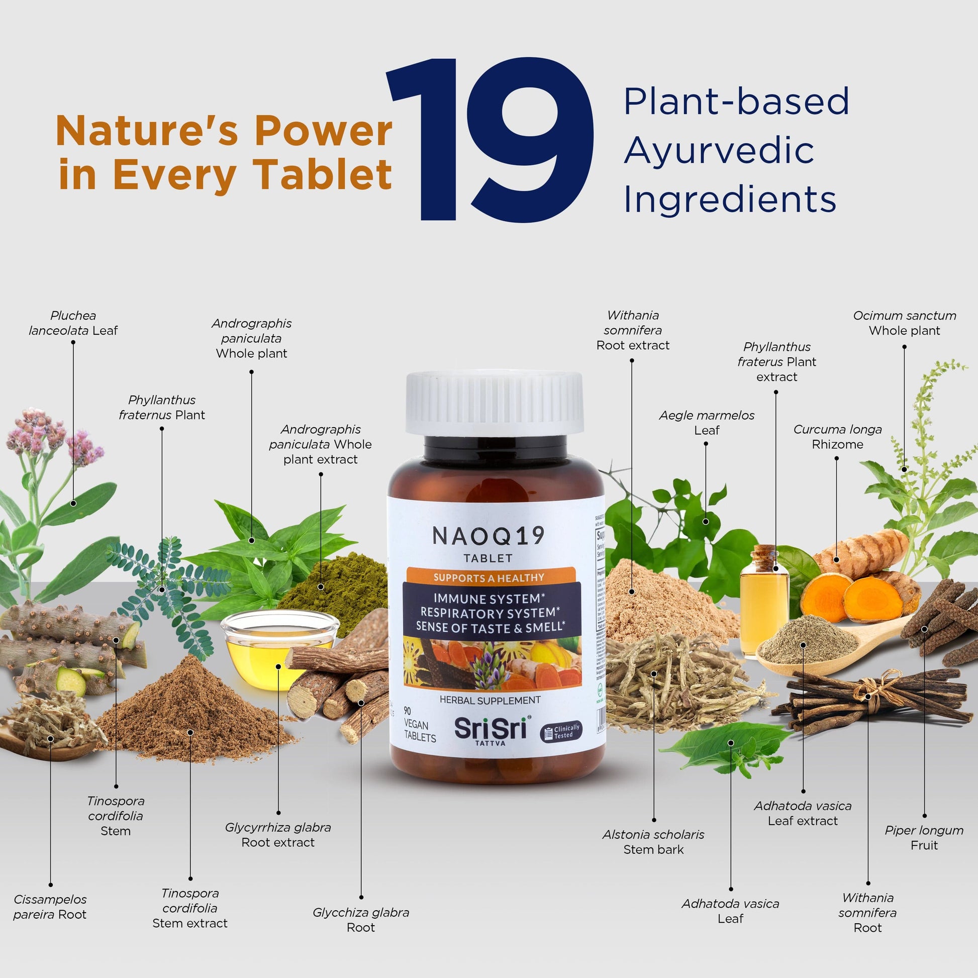Sri Sri Tattva Herbs NAOQ19 - Immunity Booster | 90 Tabs | 500mg