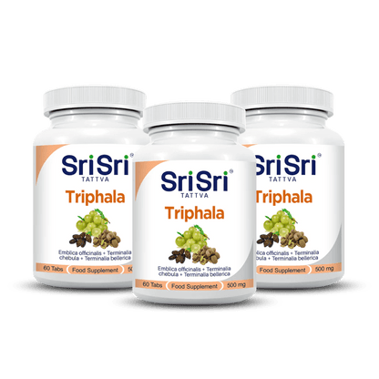 Sri Sri Tattva Herbs Pack of 3 Triphala - Digestive System