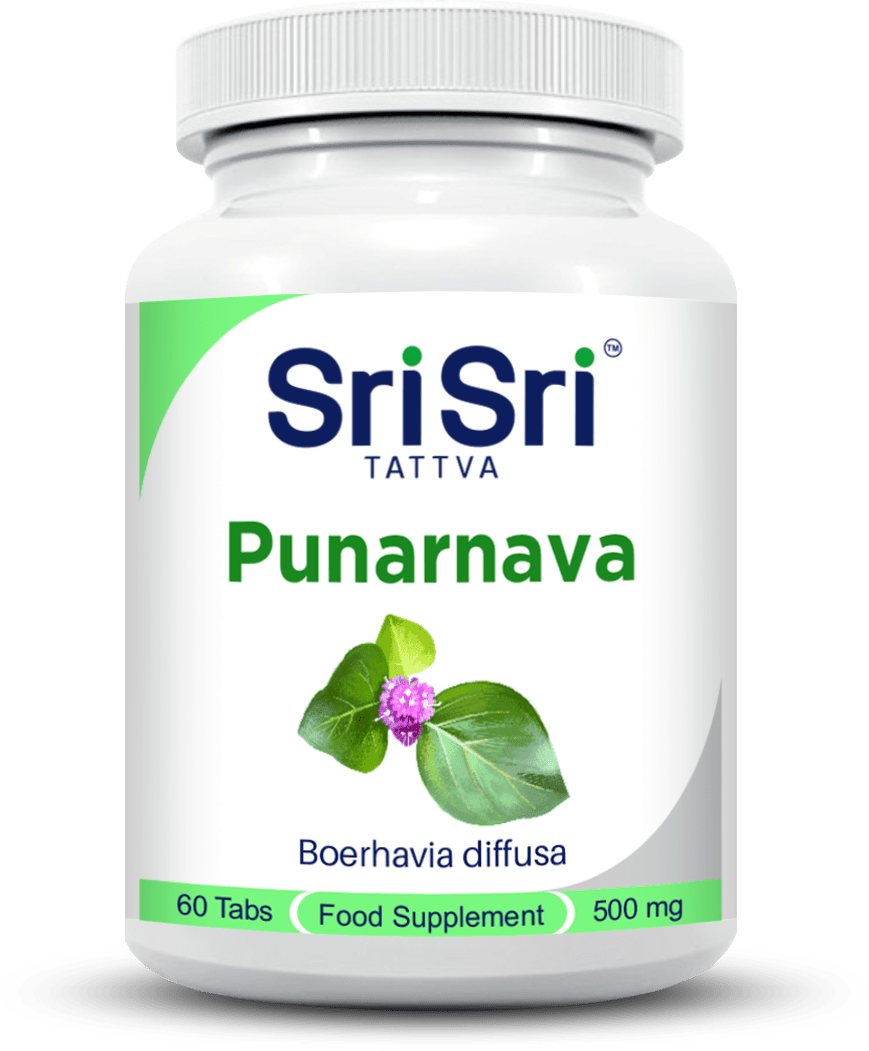 Sri Sri Tattva Herbs Punarnava - Kidney & Skincare